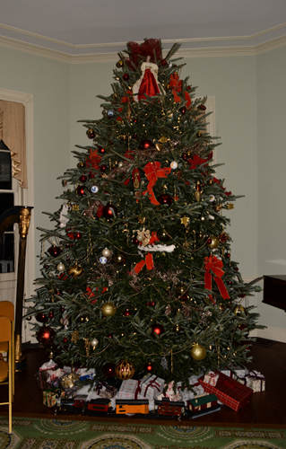 The beautiful 2015 Christmas Tree at Laurel Hill Mansion was donated by Bustard Tree Farm who also supplied the tree for the White House this year